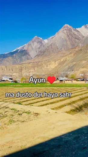 Understanding User Accounts on Social Media