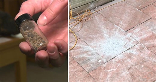 Meteorites crash landing captured on camera in broad daylight in P.E.I.