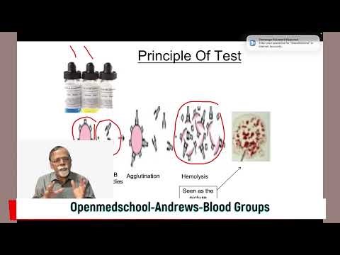 Blood groups and Rh Types
