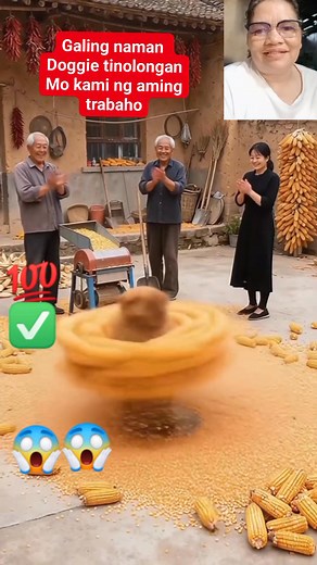 9.2K views · 21 reactions | Subrang hanga ako sayo doggie napakatalino mo yan ang dahilan na dog laber ako kasi ang doggie mabait talaga #lifestyle #mabaitnadoggie | Evelyn Cayasan Abelo | Facebook