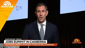 Treasurer Jim Chalmers says opposition leader Peter Dutton 'threw his toys out of the cot' by refusing to accept an invitation to the jobs summit being held in Canberra to address the current skills shortage. | Sunrise