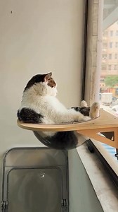 12K views · 226 reactions | Enjoying the view :) :) | The World Of Awesome Pictures | Facebook