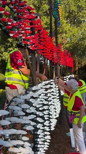 When you’re decking the halls but the halls are 643 acres and require boom lifts | Charleston County Parks