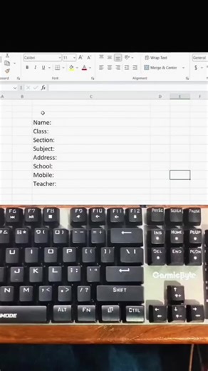 MS Excel Time Saving Trick You Need to Know