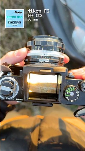 Rollei Retro 80s – Nikon F2 Early Morning Sun