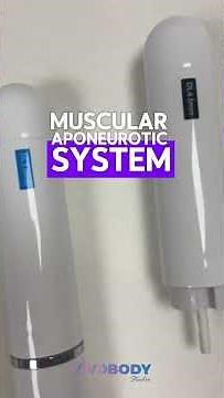 How Does HIFU Vaginal Treatment Works? #hifu #vaginaltreatment #hifutreatment