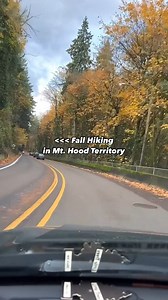 2.9K views · 46 reactions | Nothing beats our hiking trails when fall foliage hits its peak. Get the list of some of our favorite spots: https://www.mthoodterritory.com/articles/fall-hiking-in-mt-hood-territory | Oregon's Mt Hood Territory | Facebook