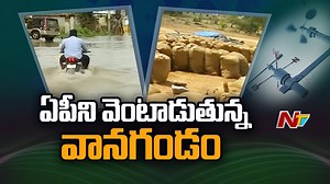 5.6K views · 49 reactions | Heavy Rains Forecast for AP and Some Parts of Telangana #HeavyRains #AndhraPradesh #Telangana #NTVNews #NTVTelugu | Ntv Telugu | Facebook