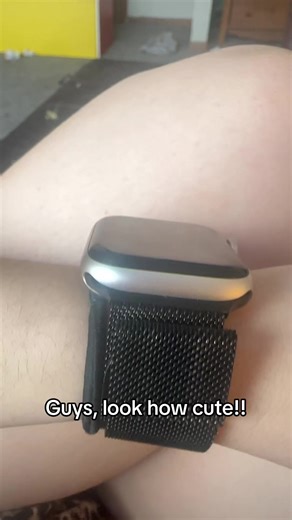 #animalcrossing | animal crossing