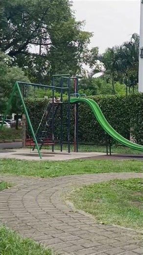 Dog Climbs Ladder and Slides Down Playground Slide