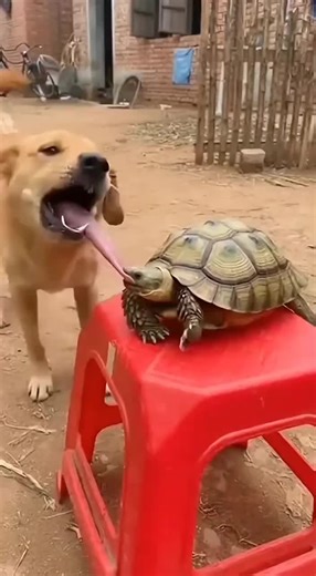 AI Hub (@aihub719)’s videos with original sound - AI Hub