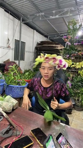 (Tham Khảo Mặt Hoa ) Hotline:090.317.7978 ☎️☎️
