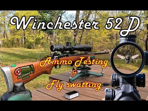 Winchester 52D CMP Surplus: 22LR Accuracy & Fly Swatting at 50 Yards