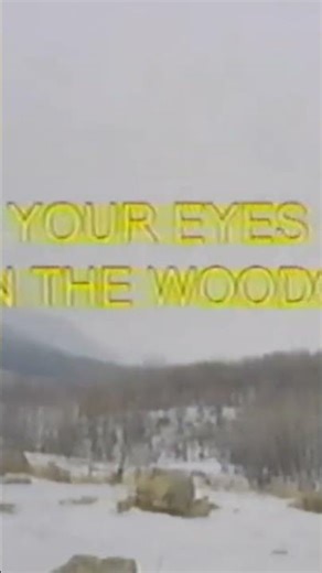 your eyes in the woods woodlands national Park