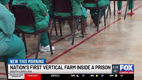 SC to launch nation’s first vertical farm inside a prison