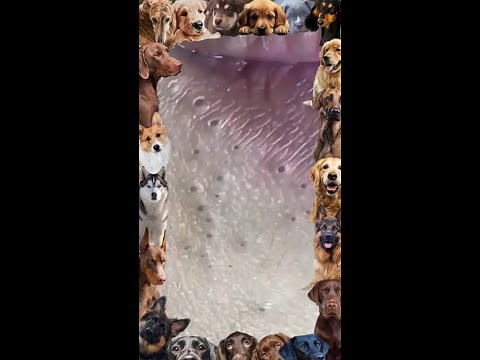 Blackhead Removal | 08 |Blackheads around lips | #blackheads