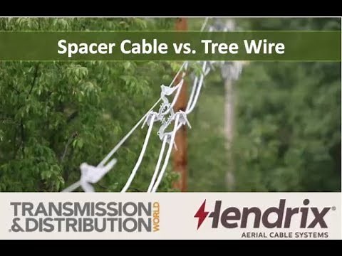 Tree Wire Vs. Spacer Cable