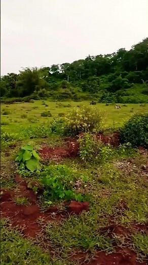 Hindi soat video 2025 naya Santali short video 📸📷💓☺️❤️💚