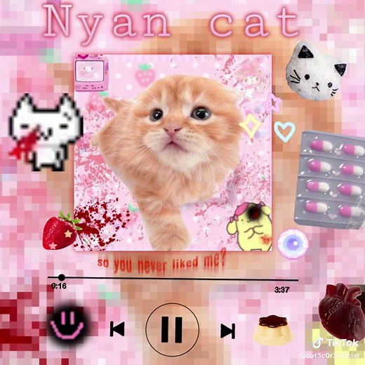Nyan Cat Slowed - Cutecore Experience