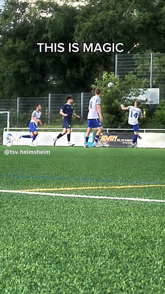 Beautiful Art of Fußball: TSV Heimsheim Highlights