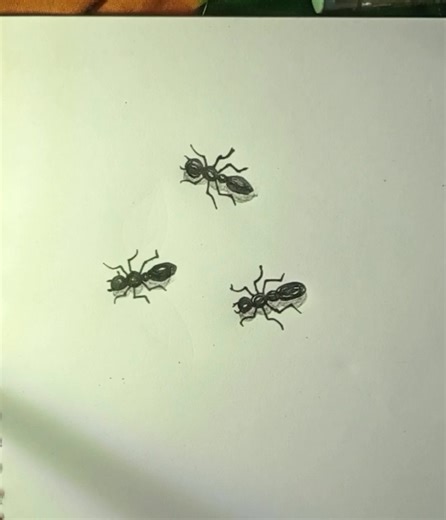 2.3K views · 21 reactions | “Amazing Realistic Ant Art | Pencil Shading Tutorial” #RealisticDrawing #AntDrawing #PencilArt #ArtVideo | RS Art & Craft | Facebook