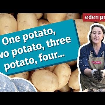 Easy Vegetable Gardening for Beginners: How to Grow Your Own Potatoes in a Small Garden