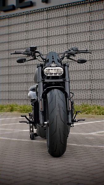 Thunderbike Silver Streak Sportster S 1250 Customization