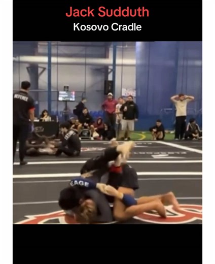 Daily Brazilian Jiu-Jitsu Techniques and Clips