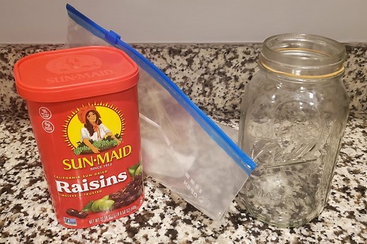 How To Store Raisins Long Term | The Best Way - Survival Freedom
