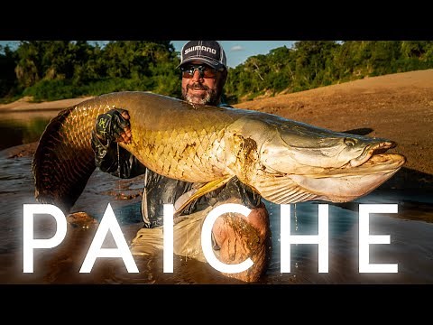 PAICHE - Pesca en el amazonas Boliviano
