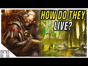 The Life Of An Imperial Citizen - Warhammer 40k Lore