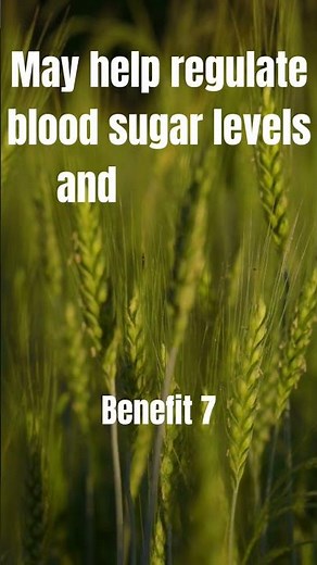 10 Health Benefits Of Barley Grass