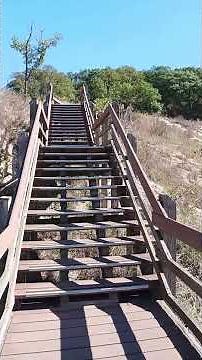 West Beach Trails at Indiana Dunes National Park