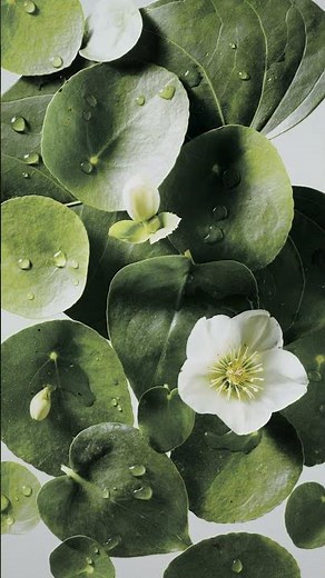 Making Magic: Crafting Anthropologie’s Spring Window Display