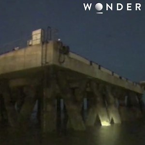 715K views · 2.3K reactions | A ferry and it's passengers reports two shady figures jumping overboard, a lifeboat team is quickly deployed to search for these two men who appears to not want to be found  | The Wonder Channel | Facebook