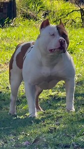 Boneca … linda | Ingrid De Sousa