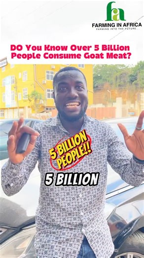 114 reactions · 19 comments | Do you know Goat farming is one of the most profitable businesses ever? This is why!! #semanhyiafarms #farminginafrica #livestockfeed #goatfarming #bootcamp | Farming In Africa | Facebook