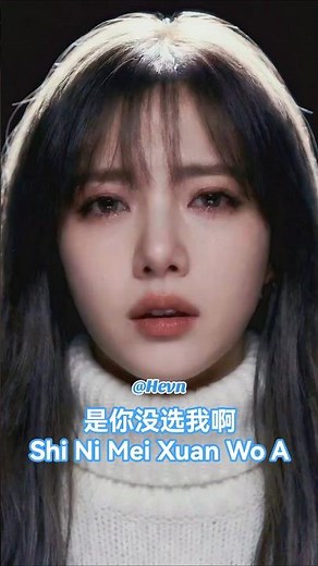 是你没选我啊 (Shi Ni Mei Xuan Wo A) It Was You That Didn't Choose Me