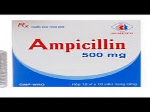 Ampicillin A Comprehensive Overview