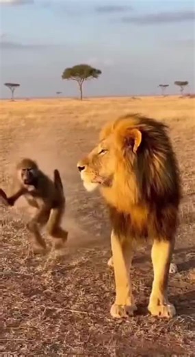 Hilarious Animal Fails That Are Hard to Believe