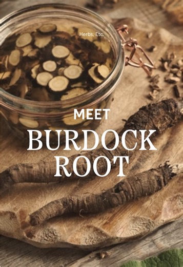 Meet Burdock Root, a powerful herbal ally for detoxification and purification. Essentially, this root helps cleanse and support the liver and blood carriers in eliminating cellular waste products, so your body can do its own housekeeping more efficiently. We celebrate this root in Essiac Tonic, crafted to harness the roots of Burdock to support natural detoxification pathways, internal balance, and long-term well-being. Let's just say, this is powerful medicine for liver function, healthy blood 