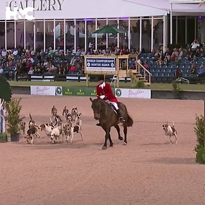 The Winter Equestrian Festival (WEF) at the Palm Beach International Equestrian Center in Wellington, Florida, hosts one of the world’s premier winter equestrian events. The series takes place from January 9, 2019 to March 31, 2019, and H&C will be bringing you live action from the key classes throughout the series, across both Show Jumping and Dressage. Watch WEF LIVE for free here: https://horseandcountry.tv/winter-equestrian-festival-florida-live-on-hc/ | Horse & Country TV