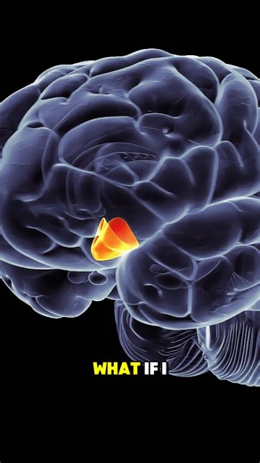 Endoscopic Transsphenoidal Surgery Explained in 3D