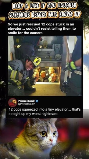 Worst elevator ride imaginable unlocked 😬