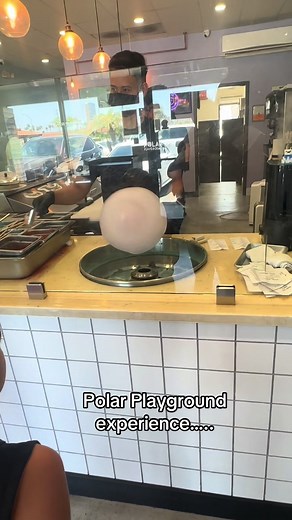 Exploring Polar Playground: A Fun Experience for Kids