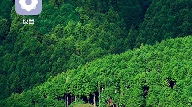 MIUI12.5 Play商店无法登录，无法检查更新（已挂v）