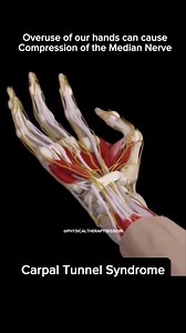 553K views · 5.2K reactions | Numbness, tingling, or wrist pain? These tendon gliding exercises help the tendons move more freely through the carpal tunnel, reducing pressure on the median nerve.  Doing these gentle movements daily can help improve hand mobility, decrease stiffness, and relieve carpal tunnel syndrome symptoms—right at home. #carpaltunnel #naturalremedies | Physical Therapy Session | Facebook