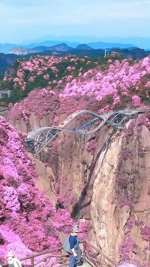 Discover Earth on Instagram: "The epic Ruyi bridge is even prettier during the spring blossoms 🌸 Can you guess where this bridge is? And the answer is…Taizhou, China! Located in Zhejiang province, Taizhou is home to the Ruyi bridge, magical mountains, parks and temples! ⛰️ Insider tip: If you are planning a trip to Taizhou, don’t forget to visit the Guoqing Temple, a stunning, restorted 6th century temple. 📍Taizhou, Zhejiang, China 🇨🇳 #discoverChina via @khanjipeerwala"