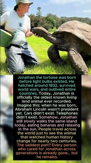 The Oldest Turtle Alive Watched Empires Fall