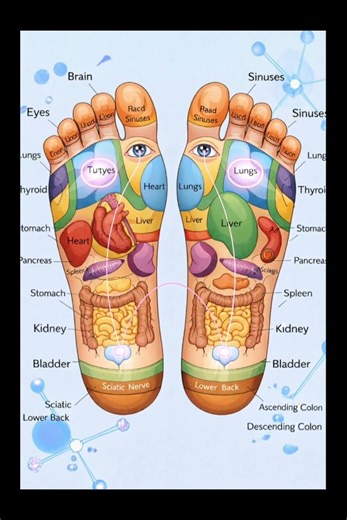 accupressure points on Feet #accupressurepoints